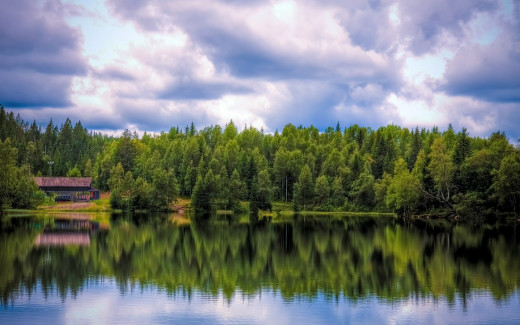 486517 (a): :2560x1600